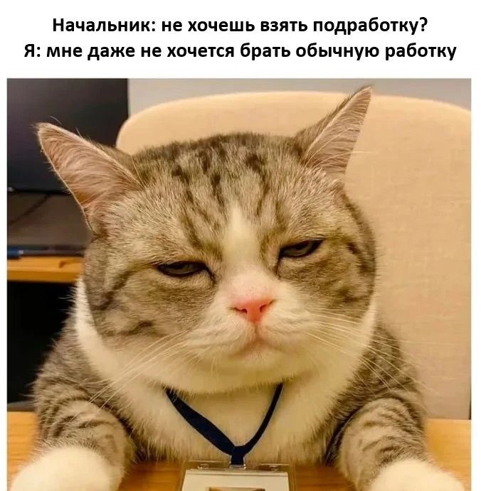 Начальник: не хочешь взять подработку?
Я: мне даже не хочется брать обычную работу