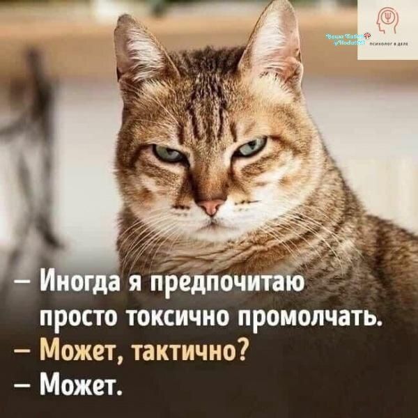 — Иногда я предпочитаю просто токсично промолчать. 
— Может, тактично? 
— Может.