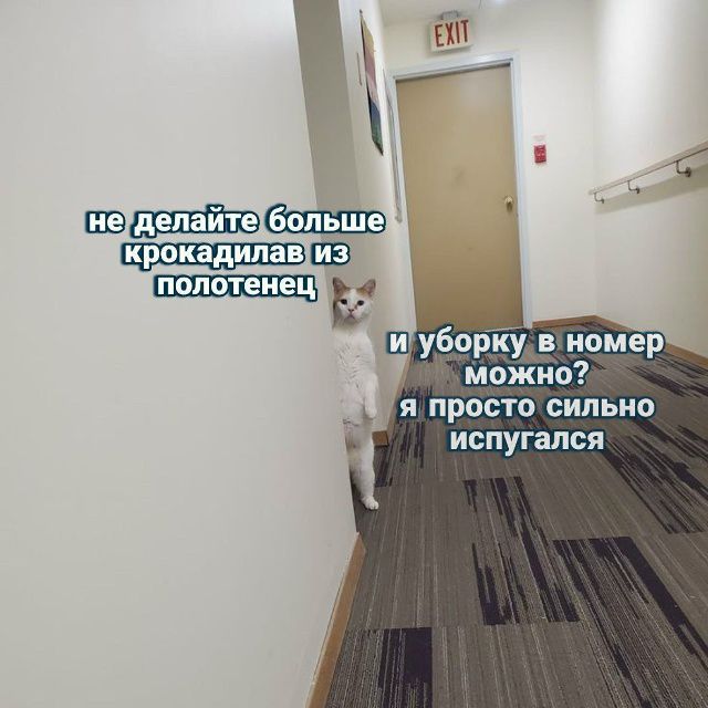 не делайте больше крокадила из полотенец и уборку в номер можно? я просто сильно испугался