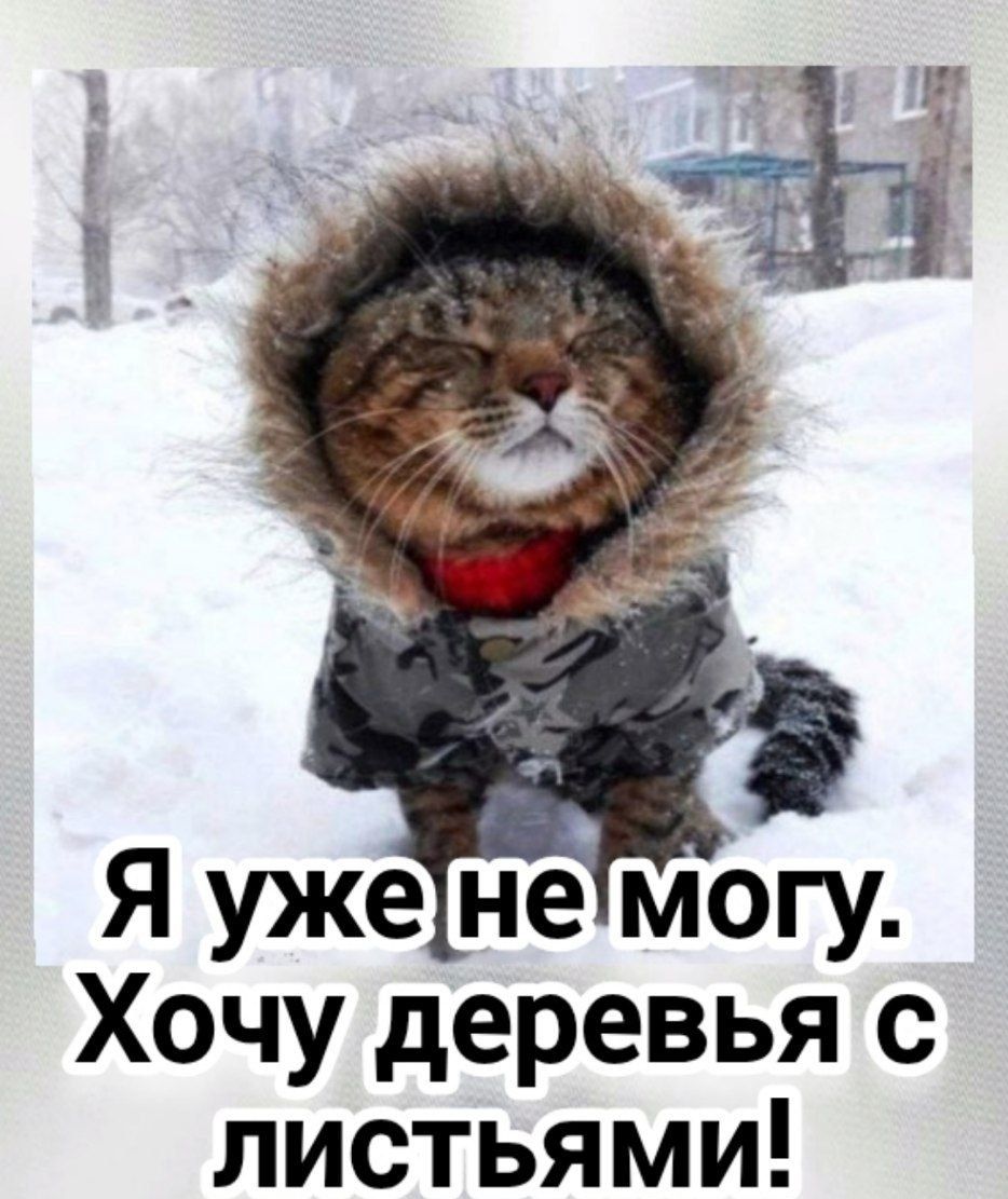 Я уже не могу.\nХочу деревья с листьями!