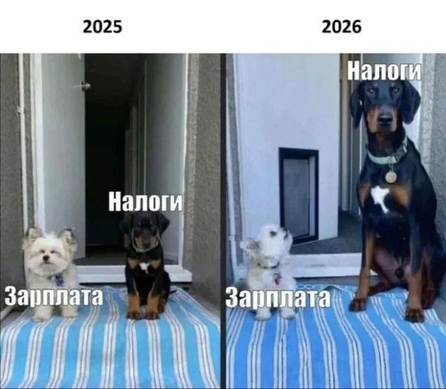 2025 Зарплата Налоги | 2026 Зарплата Налоги