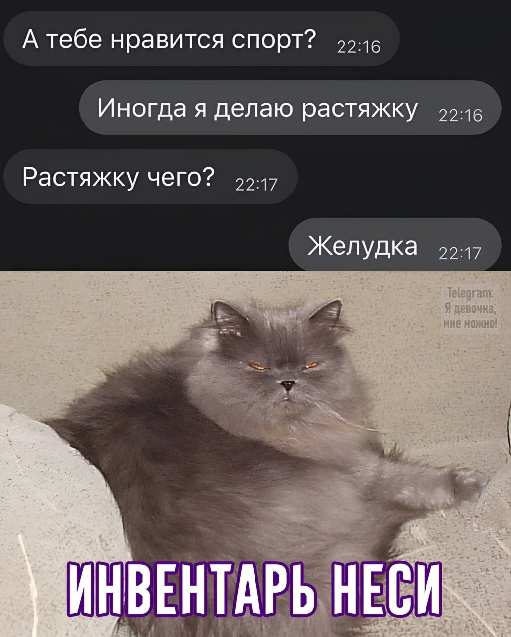 А тебе нравится спорт?
Иногда я делаю растяжку
Растяжку чего?
Желудка

ИНВЕНТАРЬ НЕСИ