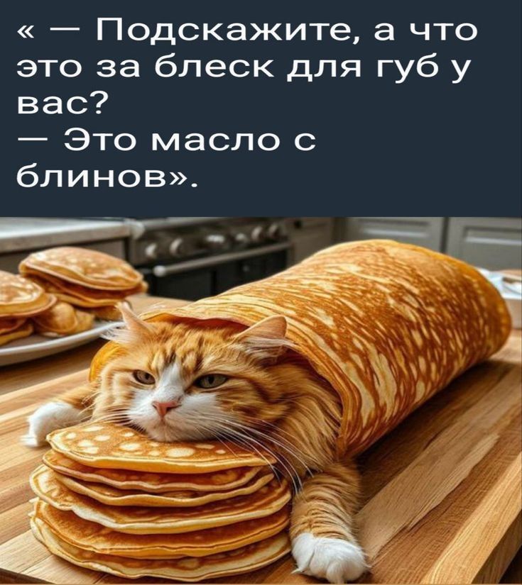 — Подскажите, а что это за блеск для губ у вас? — Это масло с блинов».