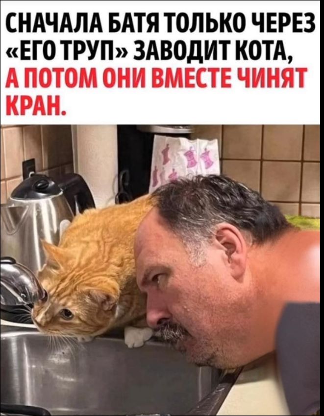 СНАЧАЛА БАТЯ ТОЛЬКО ЧЕРЕЗ «ЕГО ТРУП» ЗАВОДИТ КОТА, А ПОТОМ ОНИ ВМЕСТЕ ЧИНЯТ КРАН.