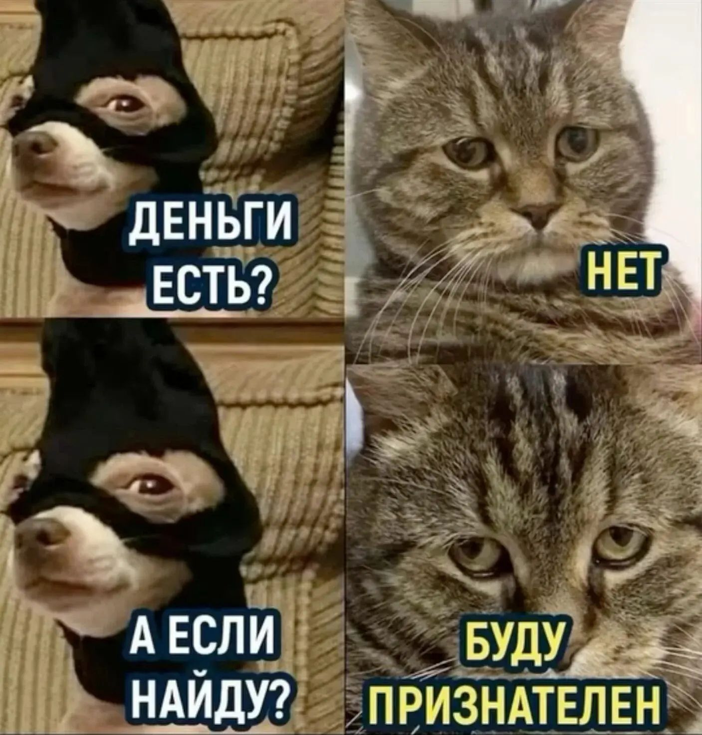 ДЕНЬГИ ЕСТЬ? А ЕСЛИ НАЙДУ? НЕТ БУДУ ПРИЗНАТЕЛЕН