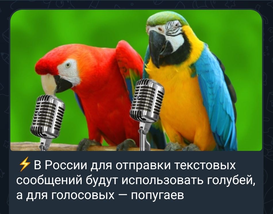 ⚡️ В России для отправки текстовых сообщений будут использовать голубей, а для голосовых — попугаев