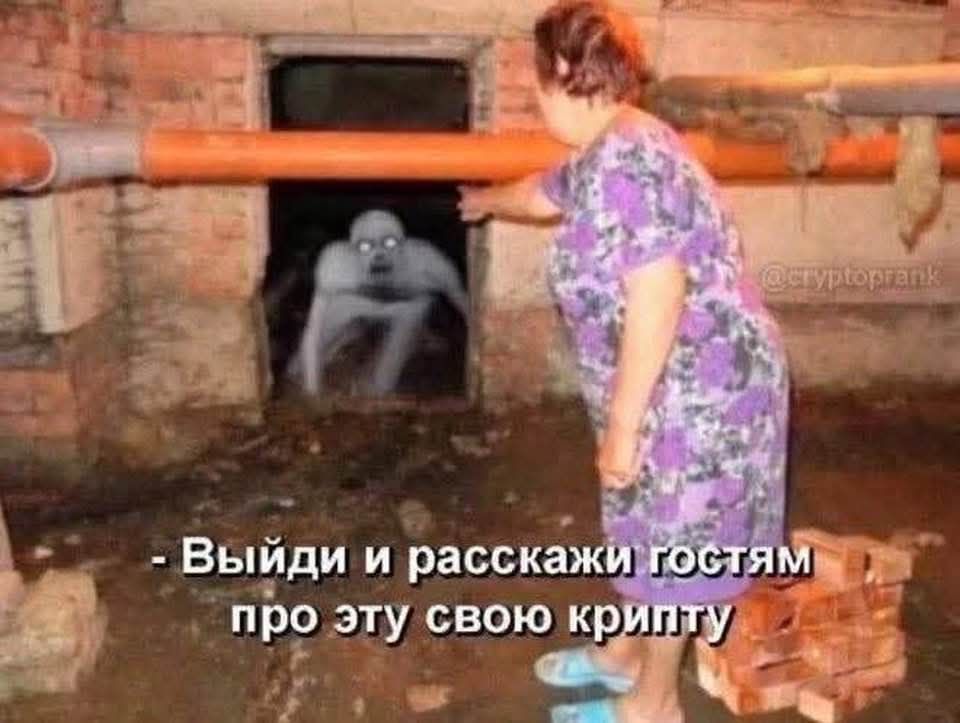 - Выйди и расскажи гостям про эту свою криллипу