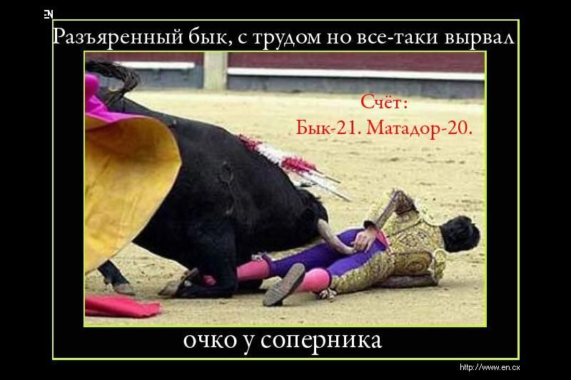 Счёт: Бык-21. Матадор-20. Разъяренный бык, с трудом но всё-таки вырвал очко у соперника