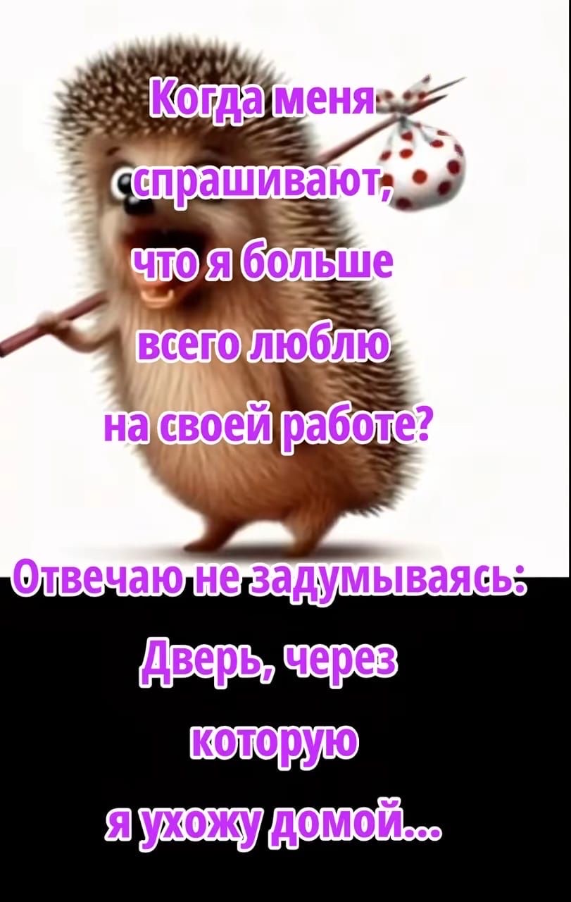 Когда меня спрашивают, что я больше всего люблю на своей работе? Отвечаю не задумываясь: Дверь, через которую я ухожу домой...
