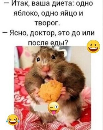 Итак, ваша диета: одно яблоко, одно яйцо и творог.
— Ясно, доктор, это до или после еды?
