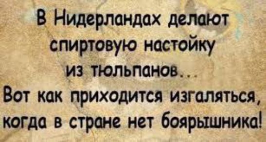 В Нидерландах делают спиртовую настойку из тюльпанов... Вот как приходится изглятся, когда в стране нет боярышника!