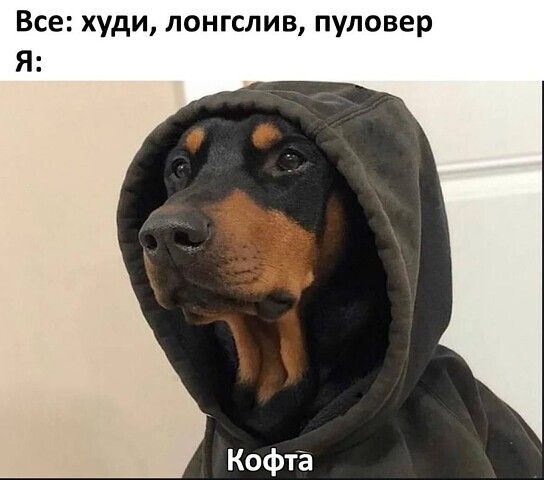 Все: худи, лонгслив, пуловер Я:\nКофта