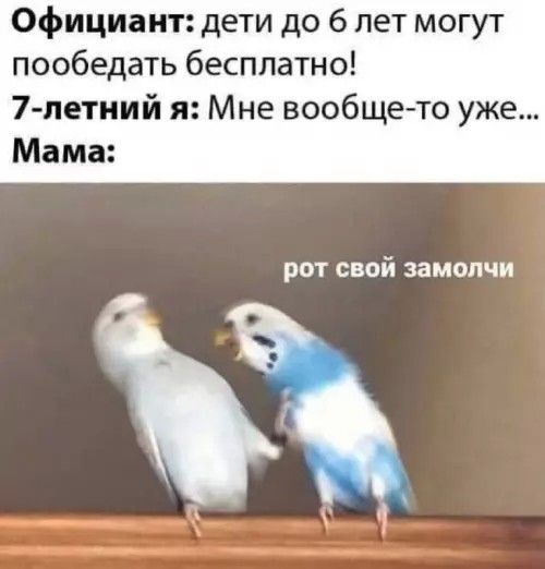 Официант: дети до 6 лет могут пообедать бесплатно! 7-летний я: Мне вообще-то уже... Мама: рот свой замоли