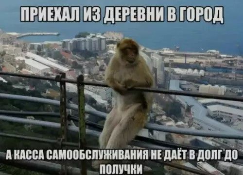 ПРИЕХАЛ ИЗ ДЕРЕВНИ В ГОРОД
А КАССА САМООБСЛУЖИВАНИЯ НЕ ДАЁТ В ДОЛГ ДО ПОЛУЧКИ