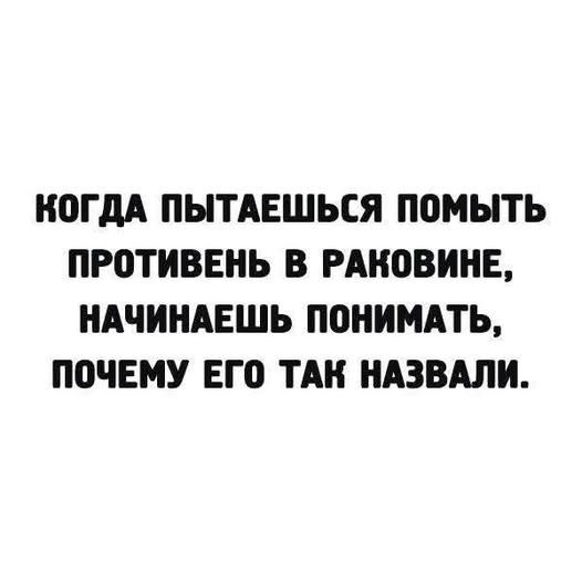 КОГДА ПОПЫТАЕШЬСЯ ПОМЫТЬ ПРОТИВЕНЬ В РАКОВИНЕ, НАЧИНАЕШЬ ПОНИМАТЬ, ПОЧЕМУ ЕГО ТАК НАЗВАЛИ.
