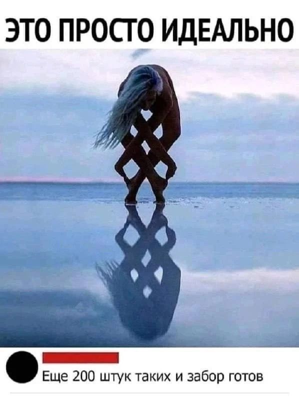 ЭТО ПРОСТО ИДЕАЛЬНО\nЕще 200 штук таких и забор готов