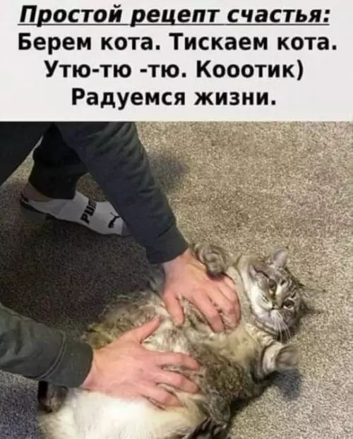 Простой рецепт счастья:
Берем кота. Тискаем кота.
Утию-тью -тью. Коотик)
Радуемся жизни.