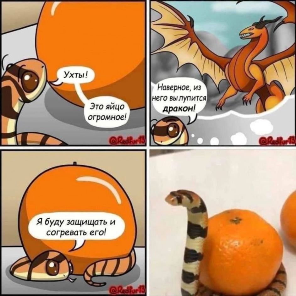 Ухты! Это яйцо enorme! Наверное, из него вылупится дракон! Я буду защищать и согревать его!