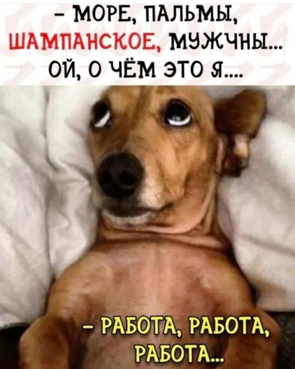 Море, пальмы, шампанское, мужчины... ой, о чём это я... работа, работа, работа...