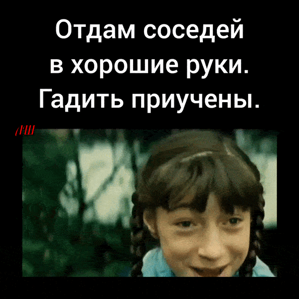 Отдам соседей в хорошие руки. Гадить приучены.