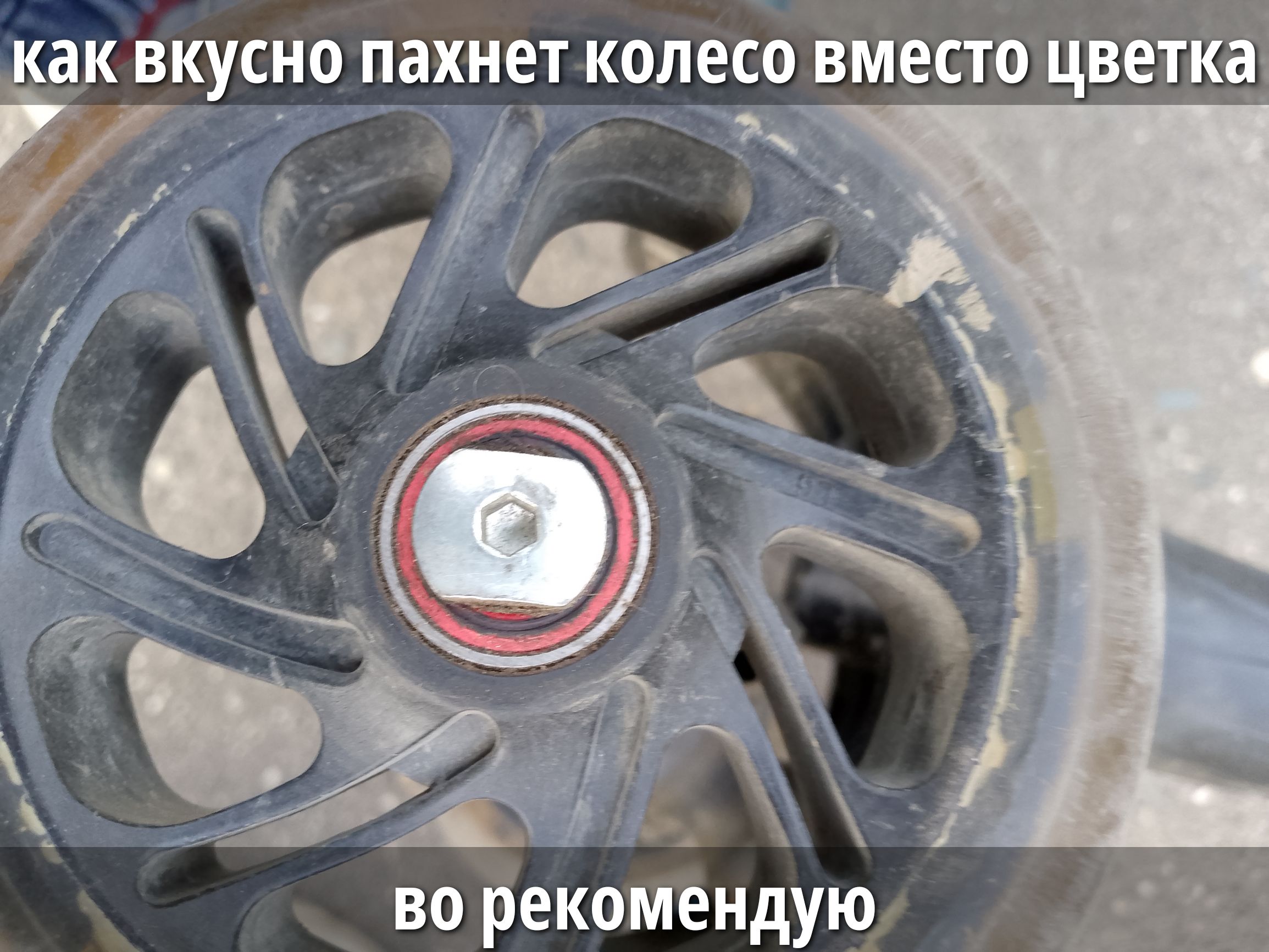 как вкусно пахнет колесо вместо цветка\nво рекомендую