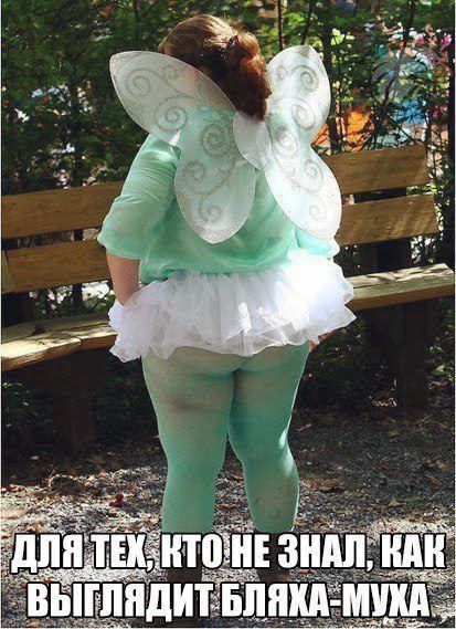 ДЛЯ ТЕХ, ЧТО НЕ ЗНАЛ, КАК ВЫГЛЛЯДИТ БЛЯХА-МУХА