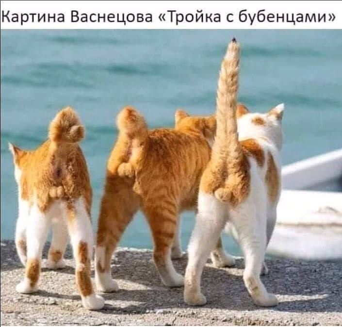 Картина Васнецова «Тройка с бубенцами»