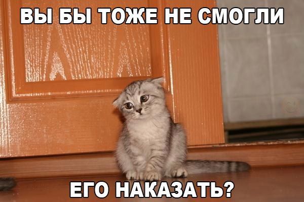 ВЫ БЫ ТОЖЕ НЕ СМОГЛИ
ЕГО НАКАЗАТЬ?