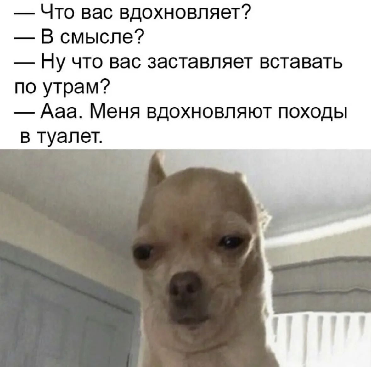 — Что вас вдохновляет?
— В смысле?
— Ну что вас заставляет вставать по утрам?
— Ааa. Меня вдохновляют походы в туалет.