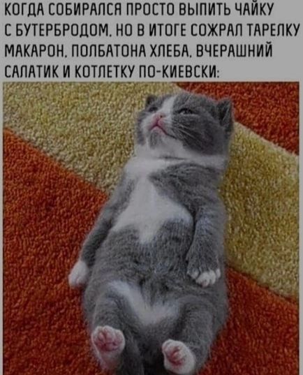 КОГДА СОБИРАЛСЯ ПРОСТО ВЫПИТЬ ЧАЙКУ С БУТЕРБРОДОМ. НО В ИТОГЕ СОЖРАЛ ТАРЕЛКУ МАКАРОН. ПОЛБАТОНА ХЛЕБА, ВЧЕРАШНИЙ САЛАТИК И КОТЛЕТКУ ПО-КИЕВСКИ: