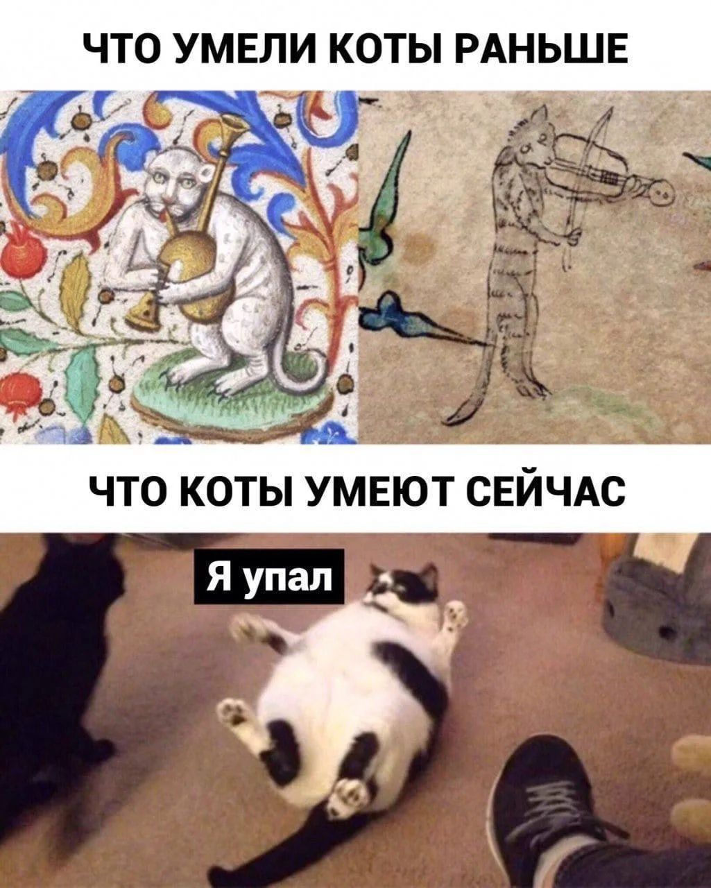 ЧТО УМЕЛИ КОТЫ РАНЬШЕ
ЧТО КОТЫ УМЕЮТ СЕЙЧАС
Я упал