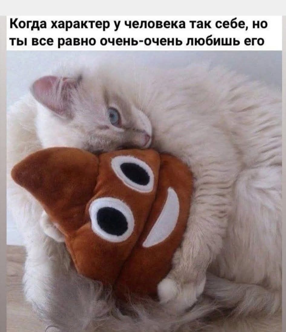 Когда характер у человека так себе, но ты всё равно очень-очень любишь его