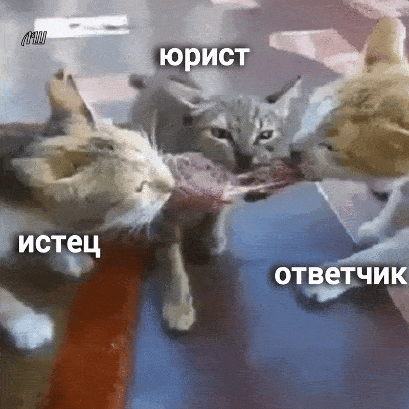 юрист истец ответчик