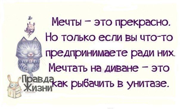 Мечты – это прекрасно. Но только если вы что-то предпринимаете ради них. Мечтать на диване – это как рыбачить в унитазе.
