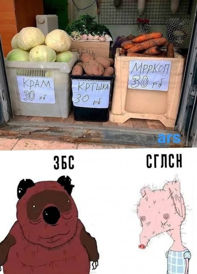 КРАМ 30 рг
КРЫШКА 30 р
МОРКОВЬ 30 р
ЗБС  |  СГЛСН