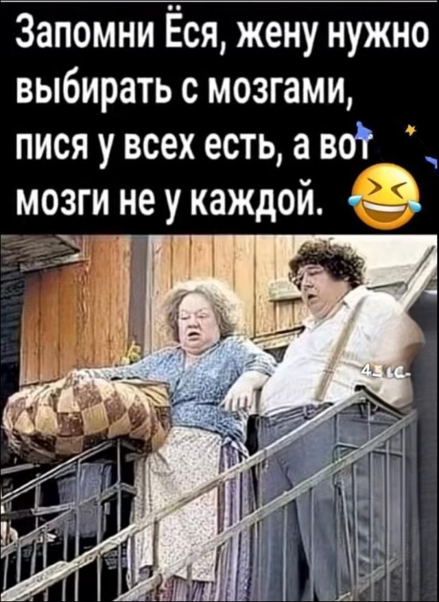 Запомни Ёся, жену нужно выбирать с мозгами, писать у всех есть, а вот мозги не у каждой.