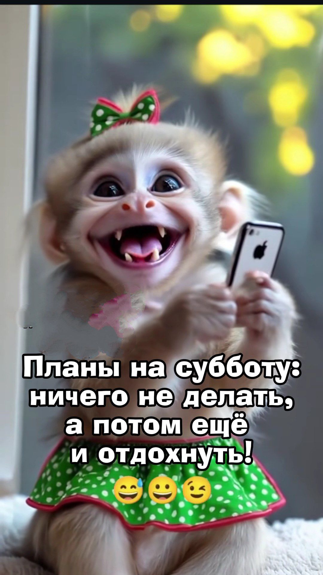 Планы на субботу: ничего не делать, а потом ещё и отдохнуть!