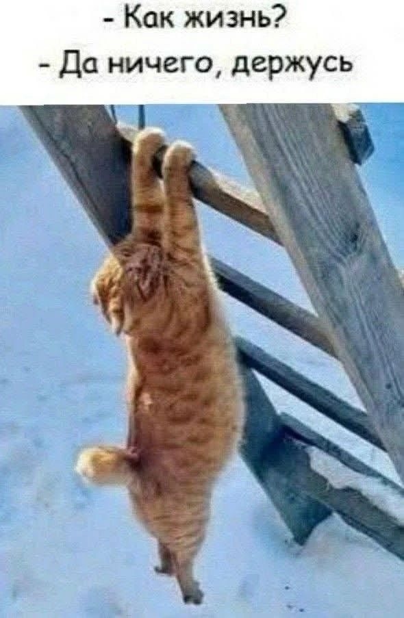 Как жизнь?
- Да ничего, держусь