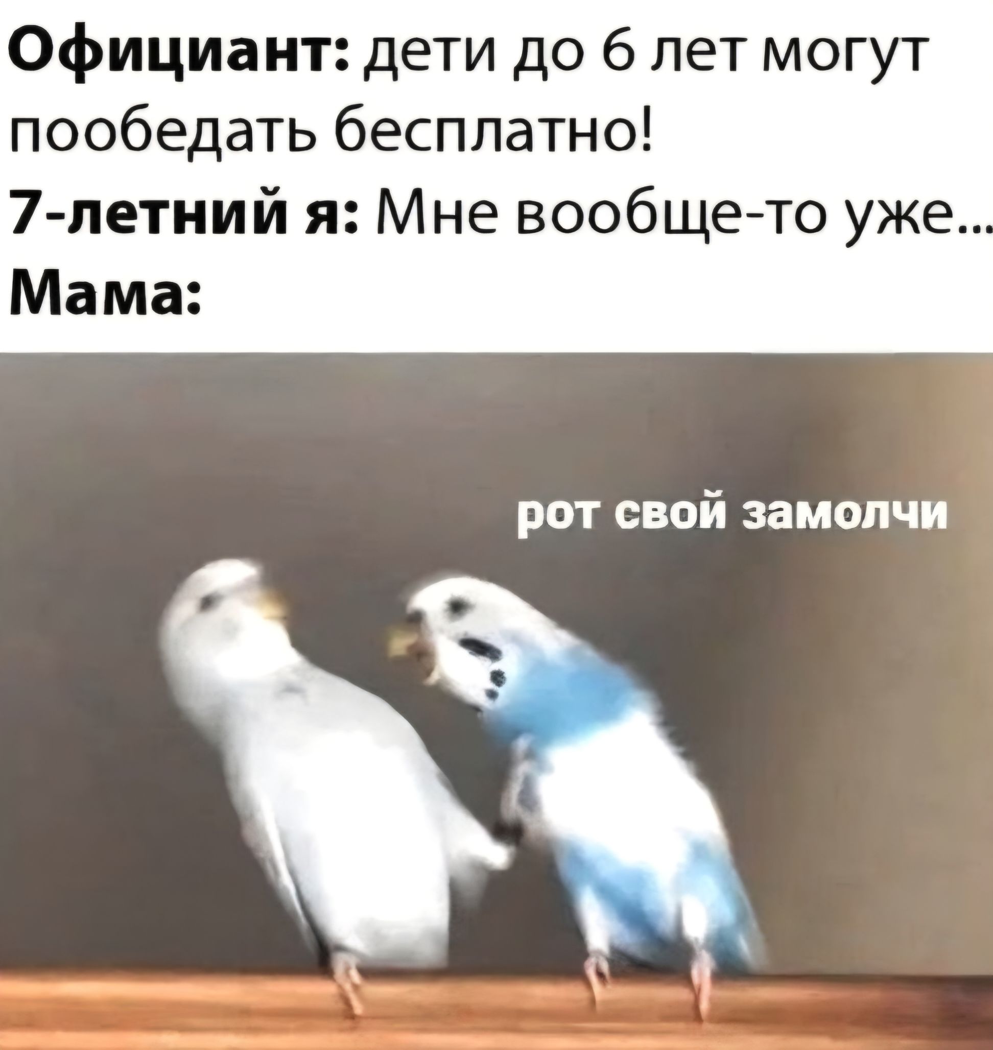 Официант: дети до 6 лет могут поесть бесплатно! 7-летний я: Мне вообще-то уже...
Мама:

рот свой замолчи