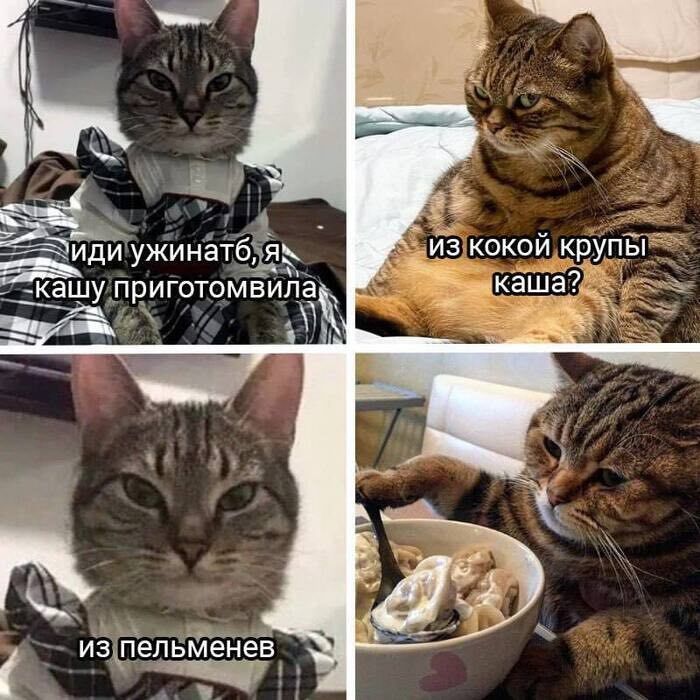 иди ужинать, я кашу приготовила
из какой крупы каша?
из пельменей