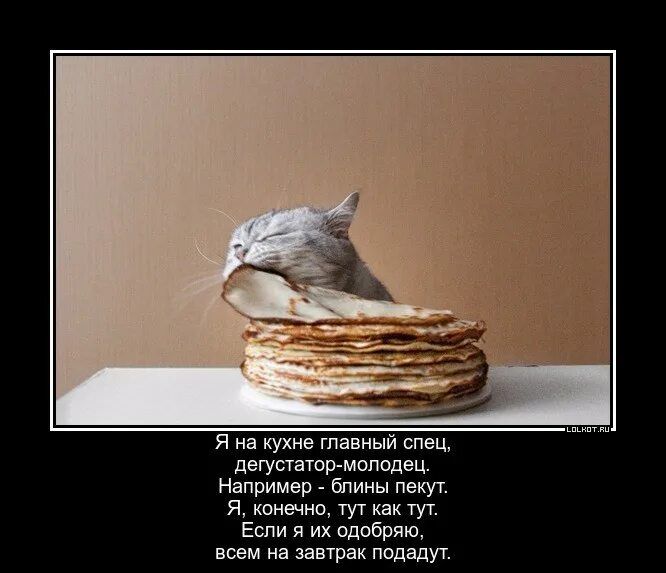 Я на кухне главный спец, дегустатор-молодец. Например - блины пекут. Я, конечно, тут как тут. Если я их одобряю, всем на завтрак подадут.