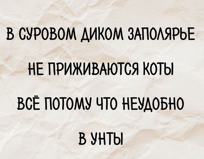 В суровом диком заполярье не приживаются коты всё потому что неудобно в унты