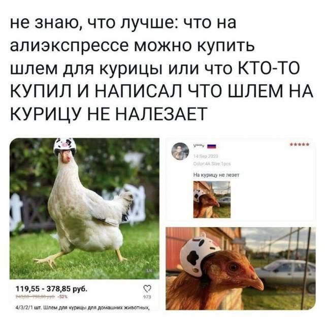 не знаю, что лучше: что на алиэкспрессе можно купить шлем для курицы или что КТО-ТО КУПИЛ И НАПИСАЛ ЧТО ШЛЕМ НА КУРЦУ НЕ НАЛЕЗАЕТ