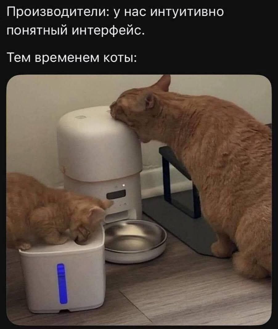 Производители: у нас интуитивно понятный интерфейс. Тем временем коты: