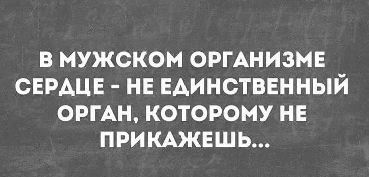 В мужском организме сердце - не единственный орган, которому не прикажешь...