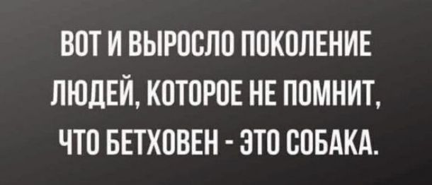 ВОТ И ВЫРОСЛО ПОКОЛЕНИЕ ЛЮДЕЙ, КОТОРОЕ НЕ ПОМНИТ, ЧТО БЕТХОВЕН - ЭТО СОБАКА.