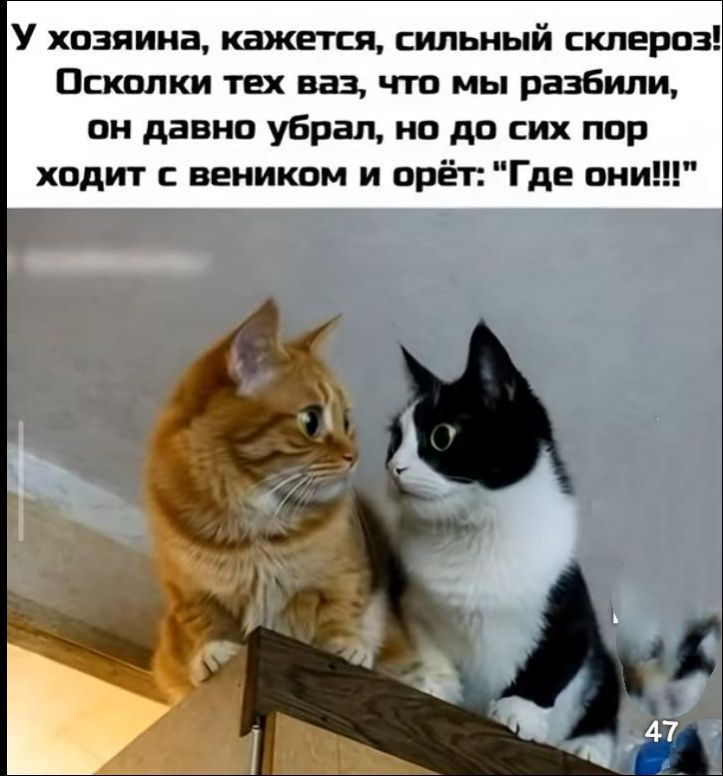 У хозяина, кажется, сильный склероз!
Осколки тех ваз, что мы разбили,
он давно убрал, но до сих пор ходит с веником и орёт: «Где они!!!»