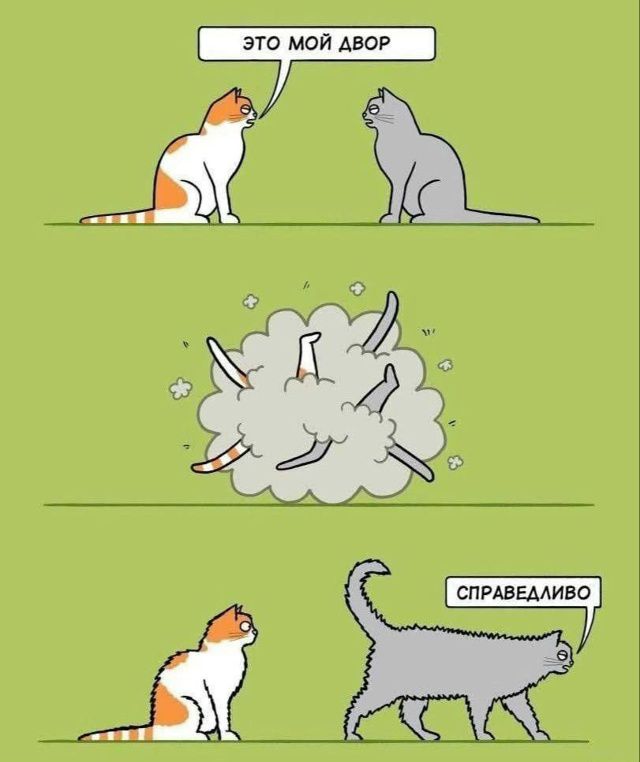 ЭТО МОЙ ДВОР
СПРАВЕДЛИВО