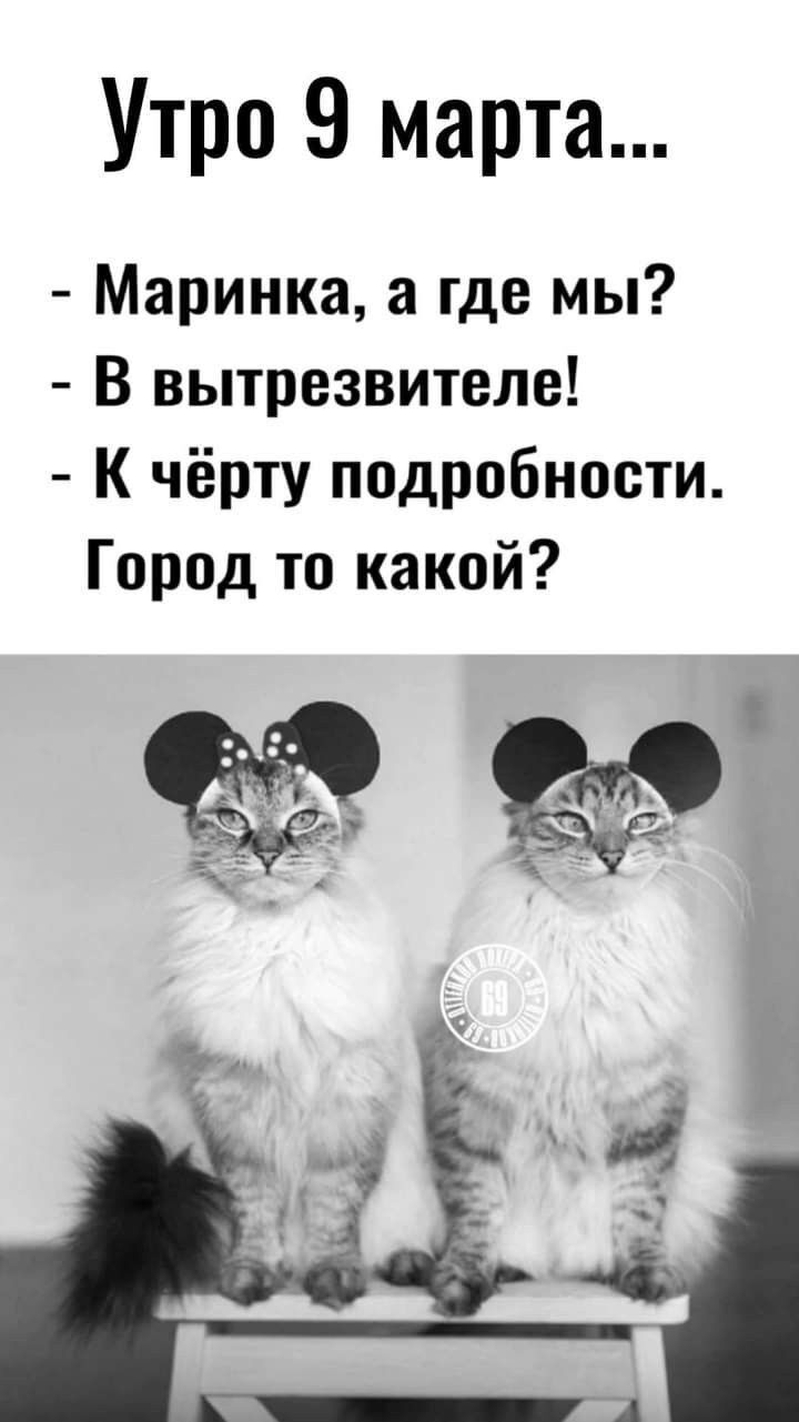 Утро 9 марта...
- Маринка, а где мы?
- В вытрезвителе!
- К чёрту подробности.
Город то какой?