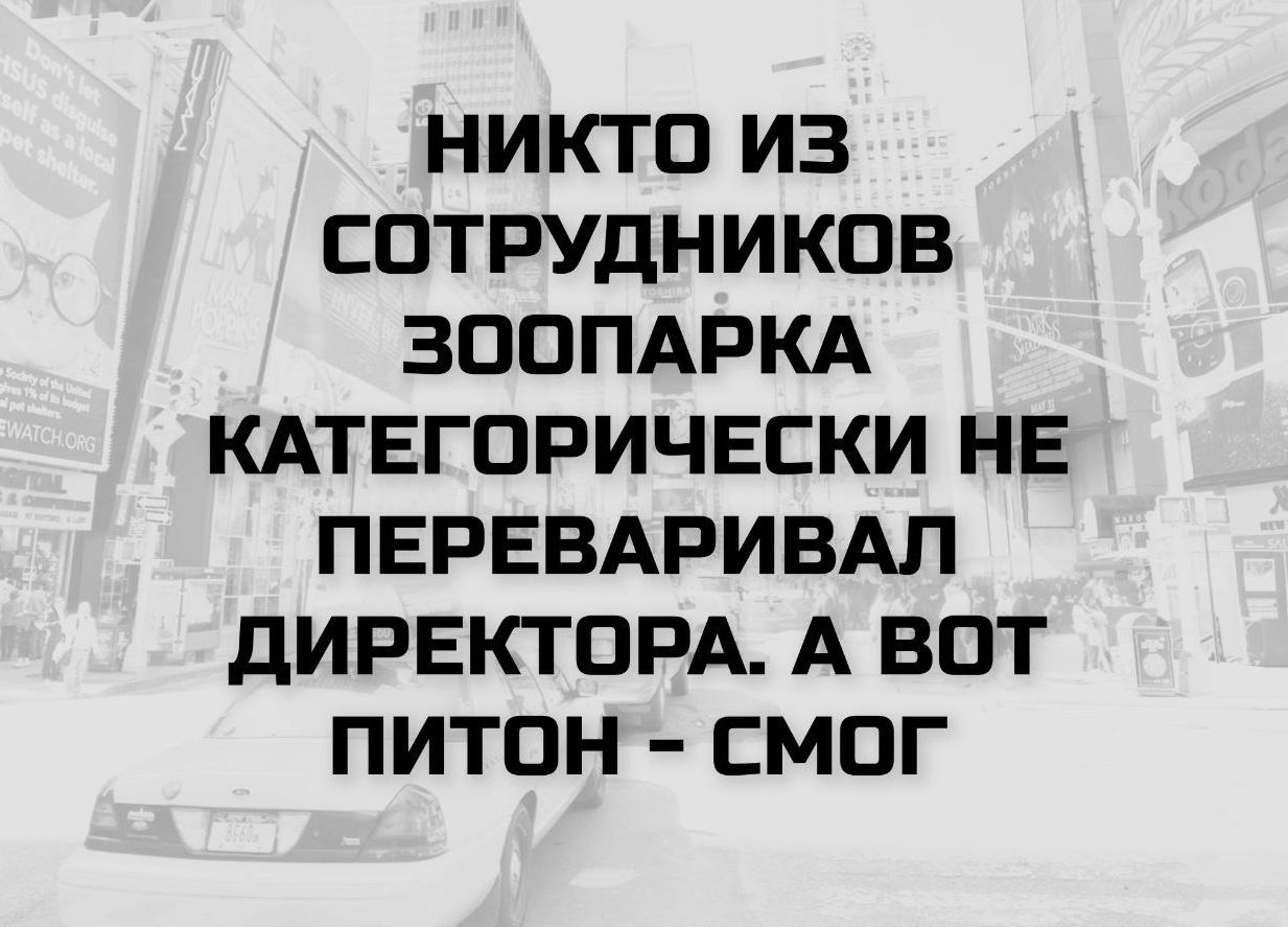 НИКТО ИЗ СОТРУДНИКОВ ЗООПАРКА КАТЕГОРИЧЕСКИ НЕ ПЕРЕВАРИВАЛ ДИРЕКТОРА. А ВОТ ПИТОН - СМОГ